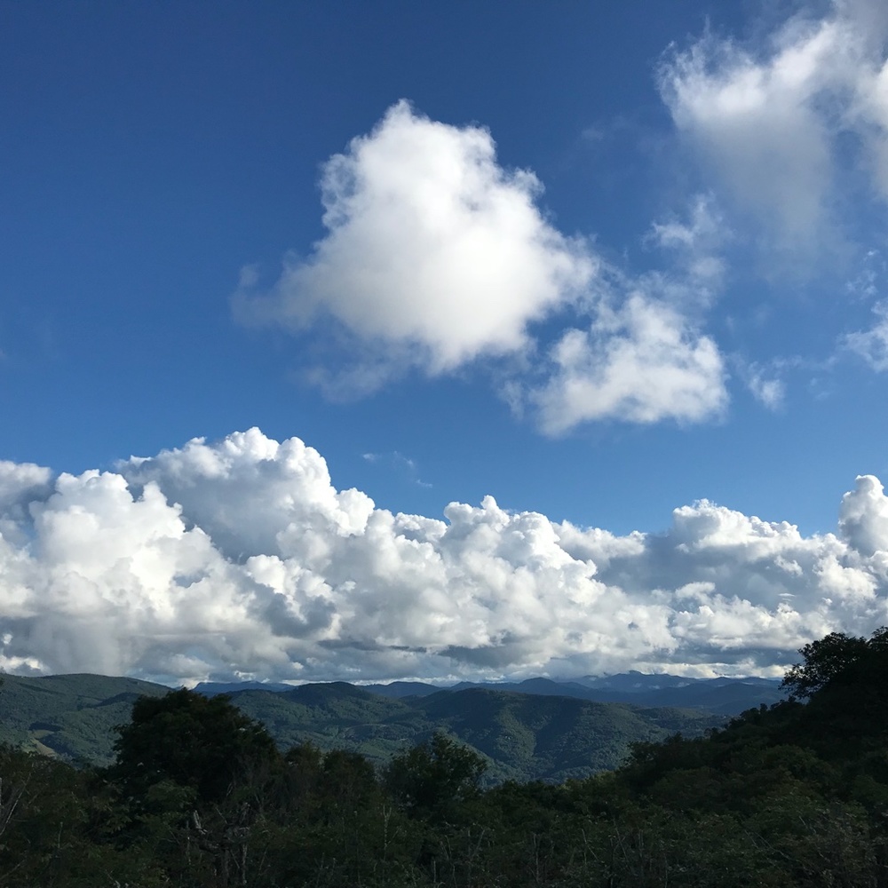 Meet your Posher, Tamieko